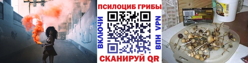 Галлюциногенные грибы Psilocybe  как найти наркотики  Сыктывкар 